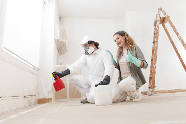 Best Basement Mold Removal  in Lima, OH